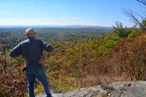 A person stands on a rocky outcrop, gazing over a colorful, forested landscape under a clear blue sky.