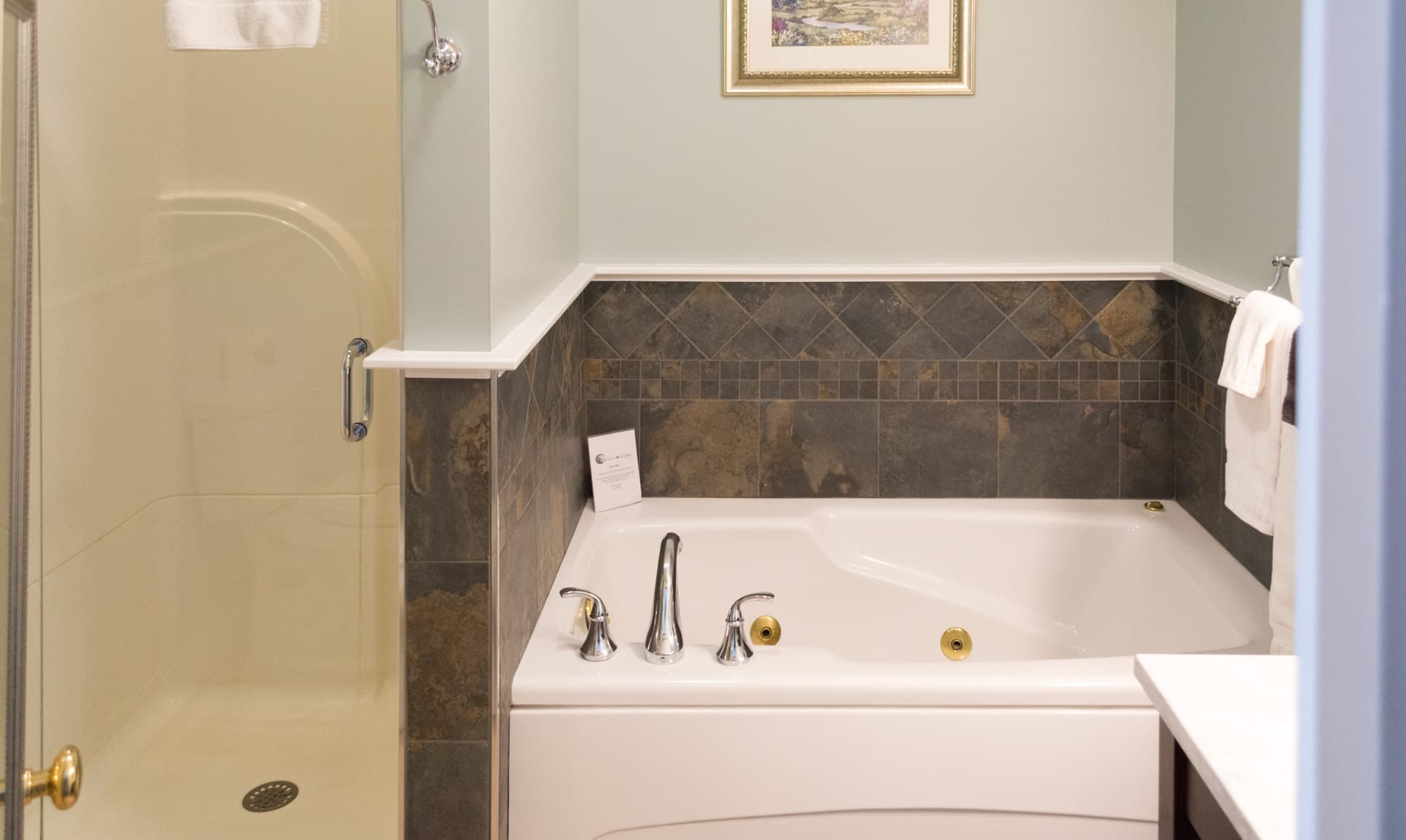 Cadillac bathroom with spa tub and shower