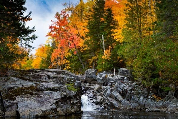 A serene waterfall cascades over rocks, surrounded by vibrant autumn foliage.