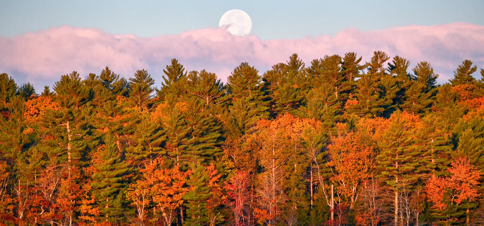 A full moon rises above a colorful autumn forest.