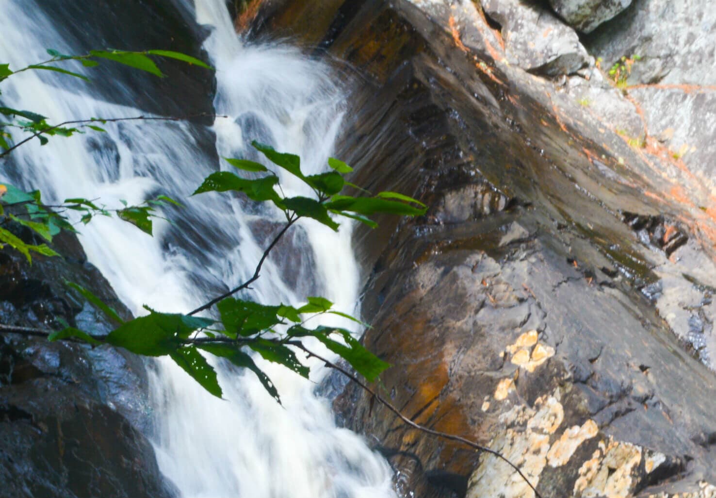 A cascading waterfall flows over dark rocks, with green leaves visible in the foreground.