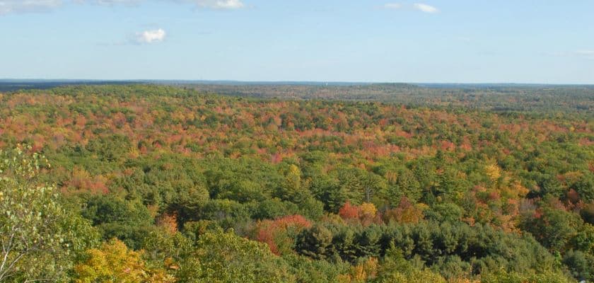 Bradbury Mountain covered in vibrant red, orange, yellow, and green fall foliage beneath a clear blue sky.