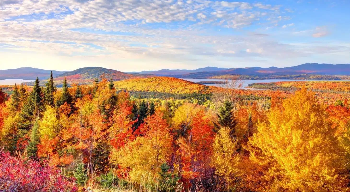 A vibrant panorama of autumn foliage with orange, yellow, and red trees against a backdrop of mountains and a lake under a blue sky.