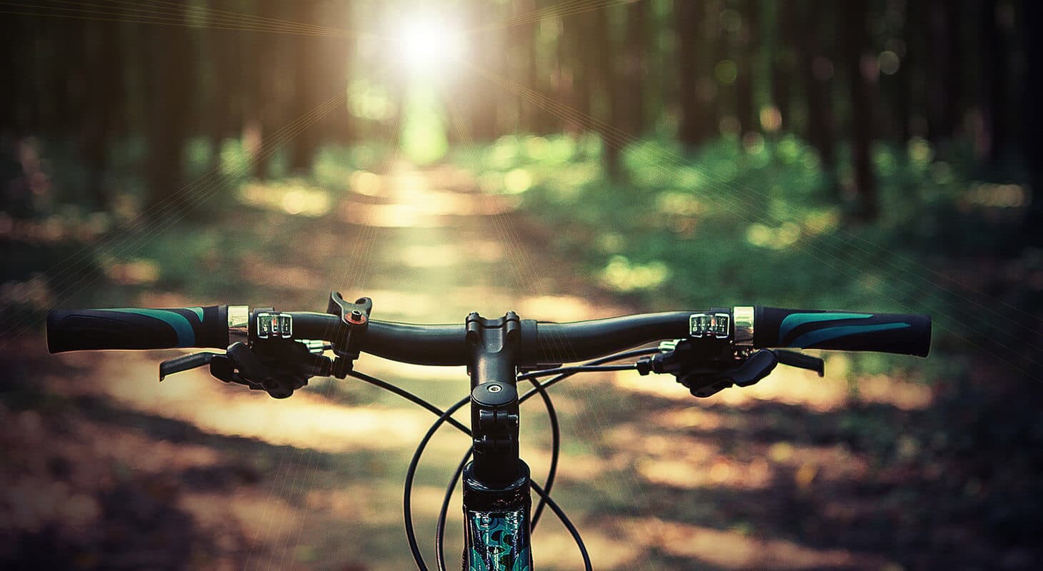 A close-up view of a bicycle handlebar on a forest path illuminated by sunlight.