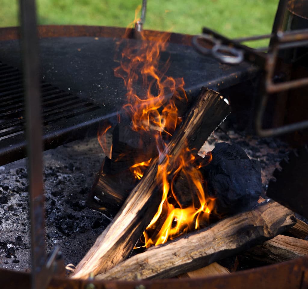 Flames dance around wooden logs in a fire pit with a grilling surface above.