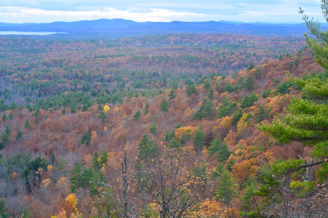 A panoramic view of a forested landscape featuring autumn foliage in various shades of orange and yellow.