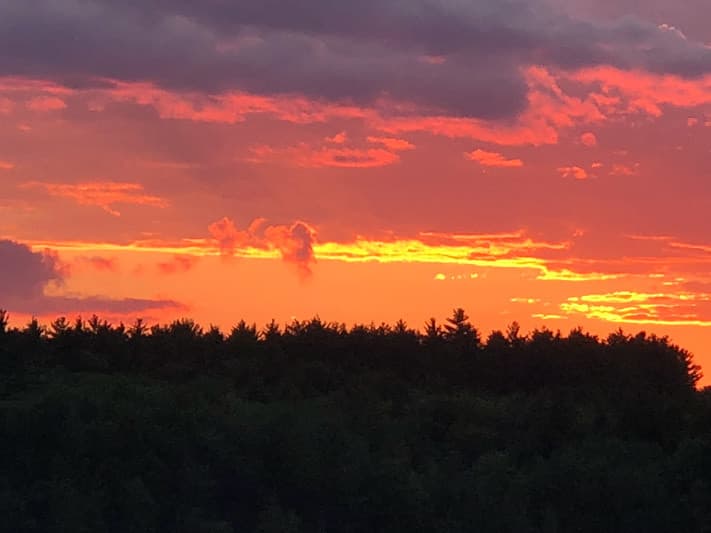 A vibrant sunset with orange and purple hues above a dark silhouette of trees.