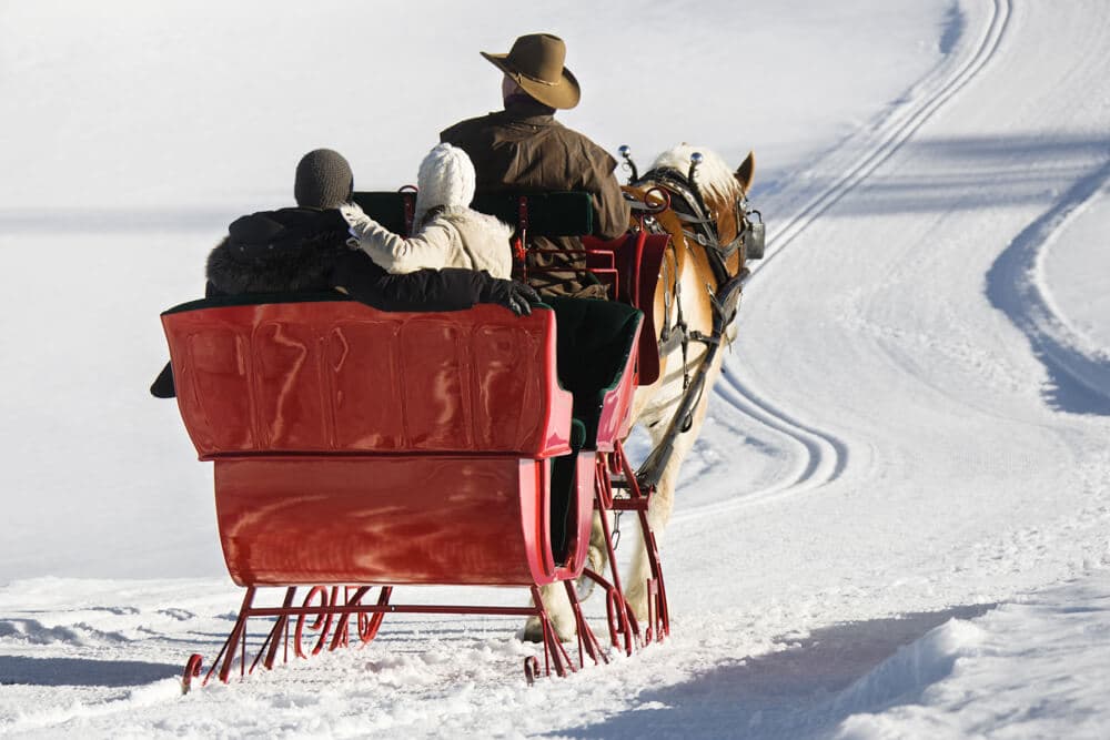 A red sleigh pulled by a horse carries three passengers through a snowy landscape.