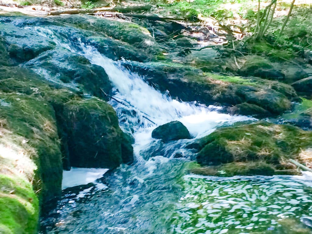 A small waterfall cascades over moss-covered rocks in a lush forest setting.