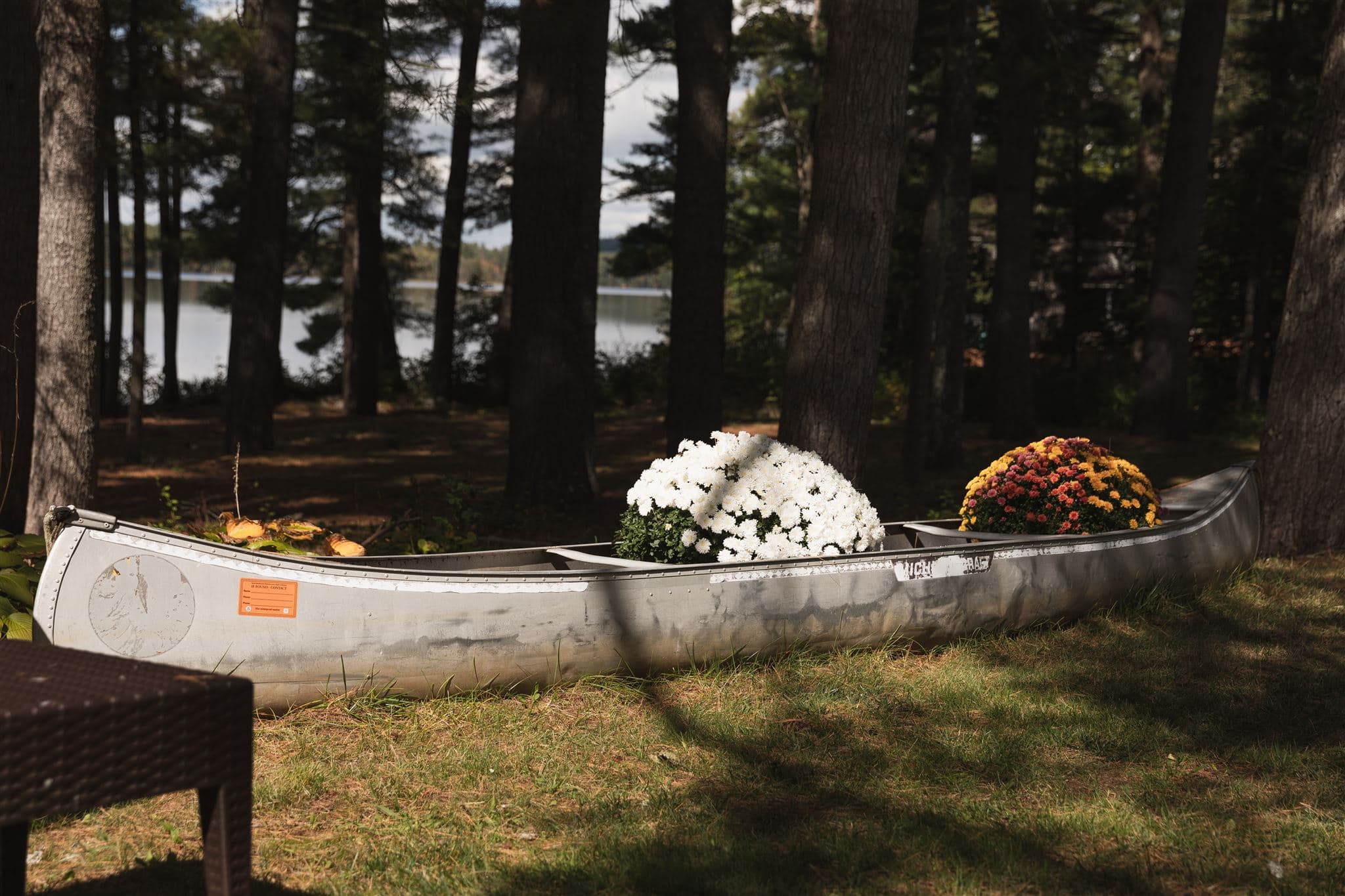A weathered canoe filled with colorful flowers sits on grassy ground, surrounded by trees and a lake in the background.