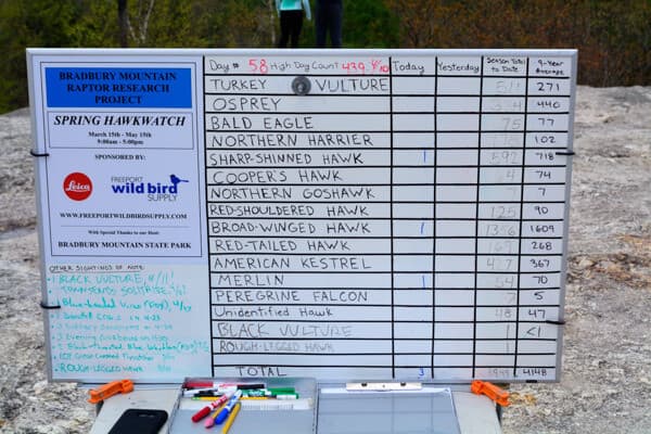 A whiteboard lists bird counts for various species observed during a hawk watch event at Bradbury Mountain State Park.