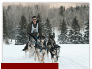 A musher competes in a snowy landscape, leading a team of sled dogs through the forest.