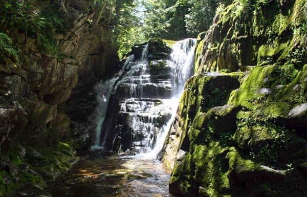 A serene waterfall cascading over moss-covered rocks in a lush forest.