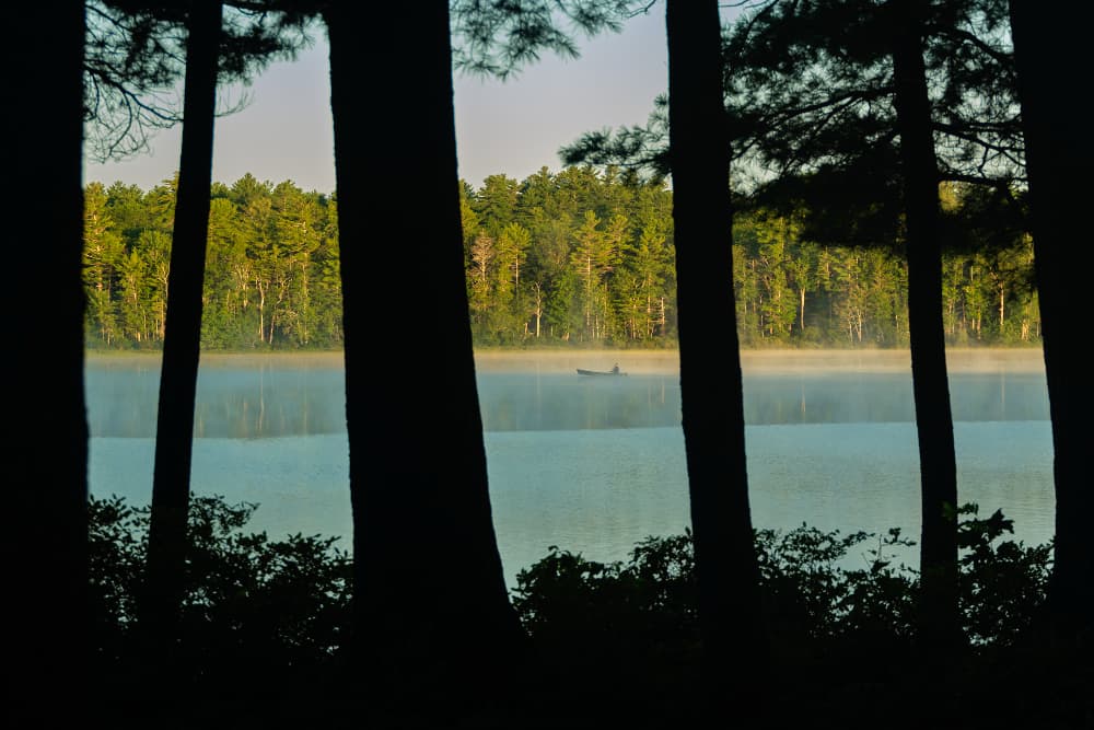A lone canoeist paddles on a misty lake surrounded by tall trees.