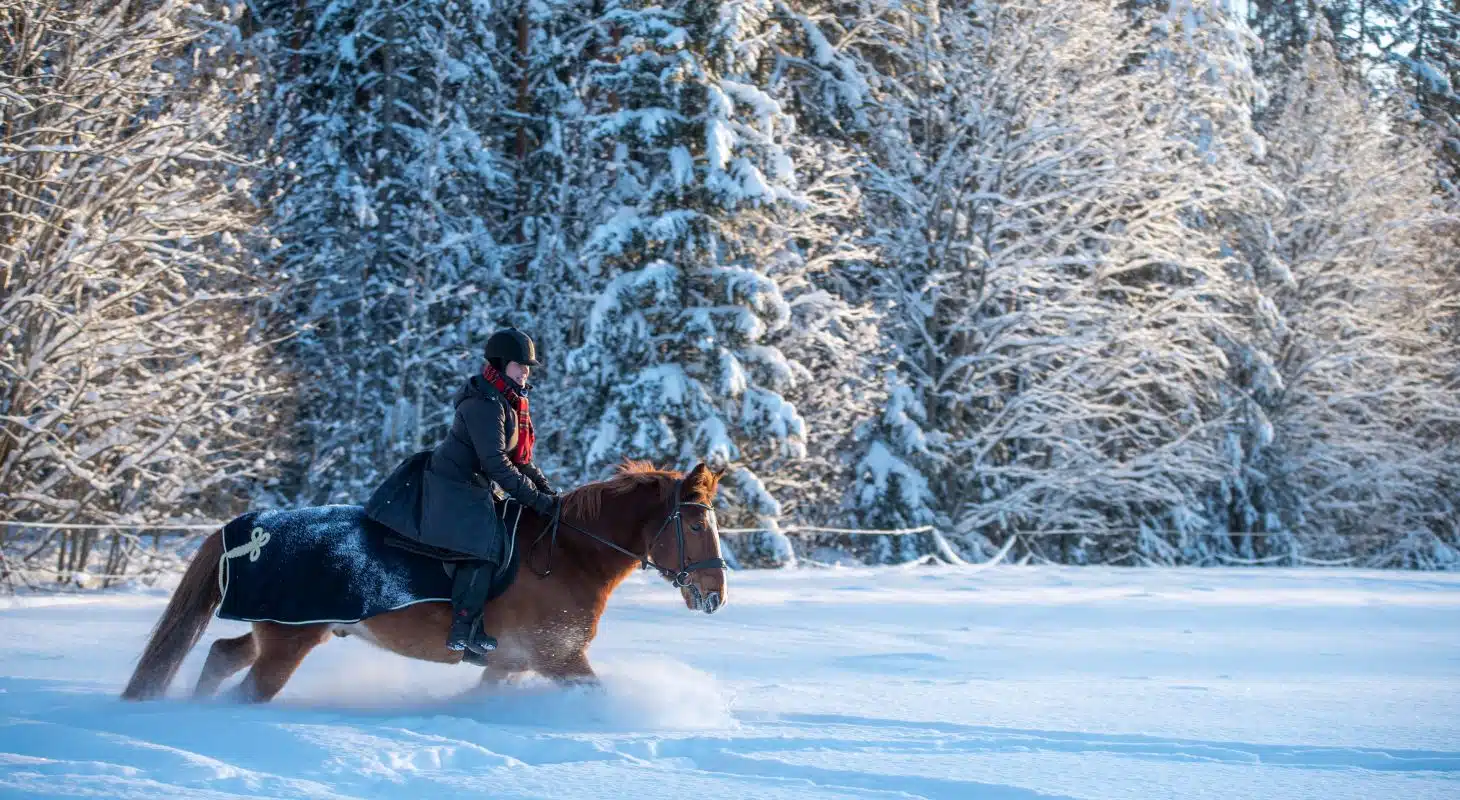 A person rides a horse through a snowy landscape surrounded by frosted trees.