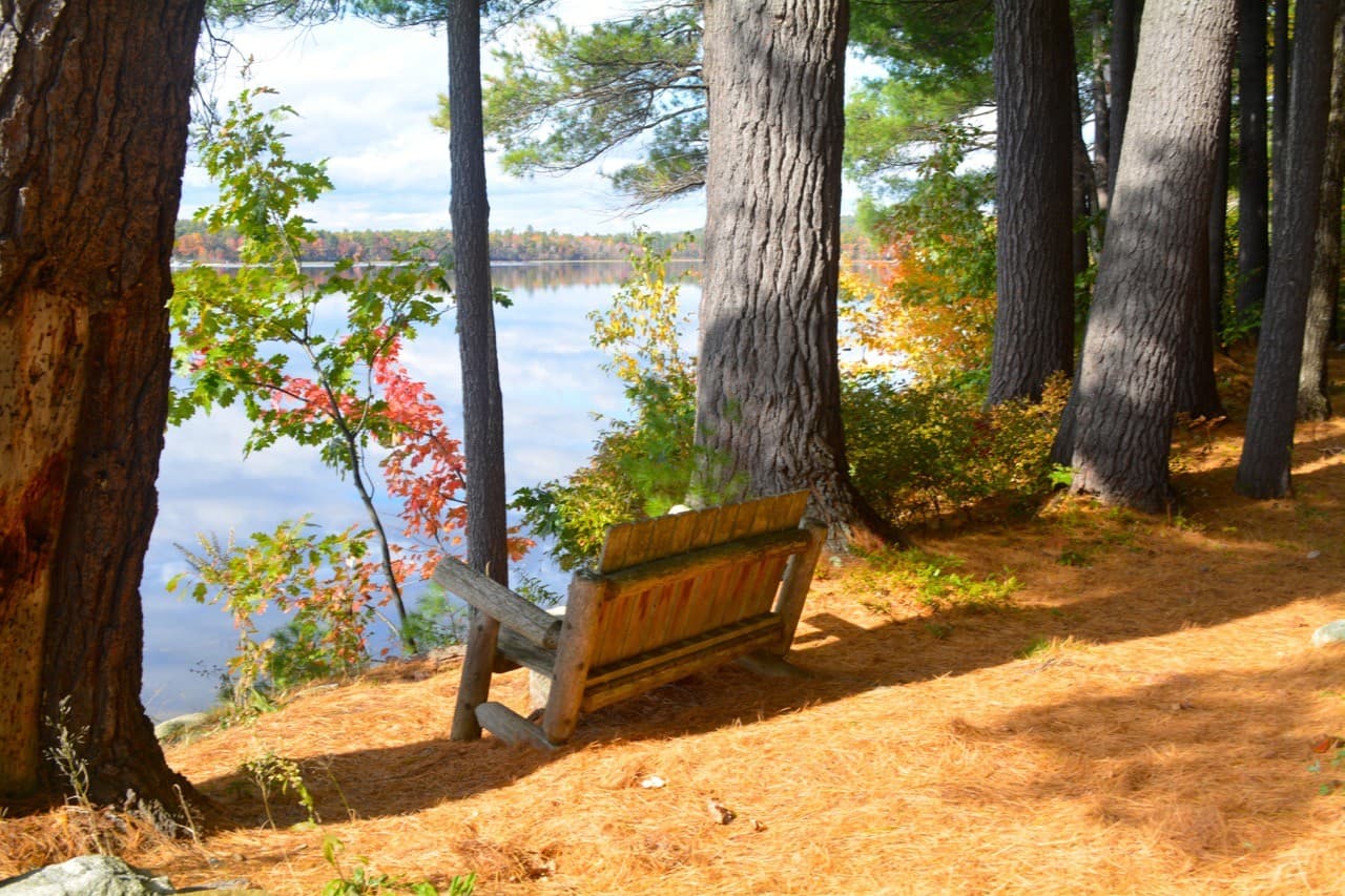 A wooden bench beside a calm lake surrounded by pine trees and autumn foliage.