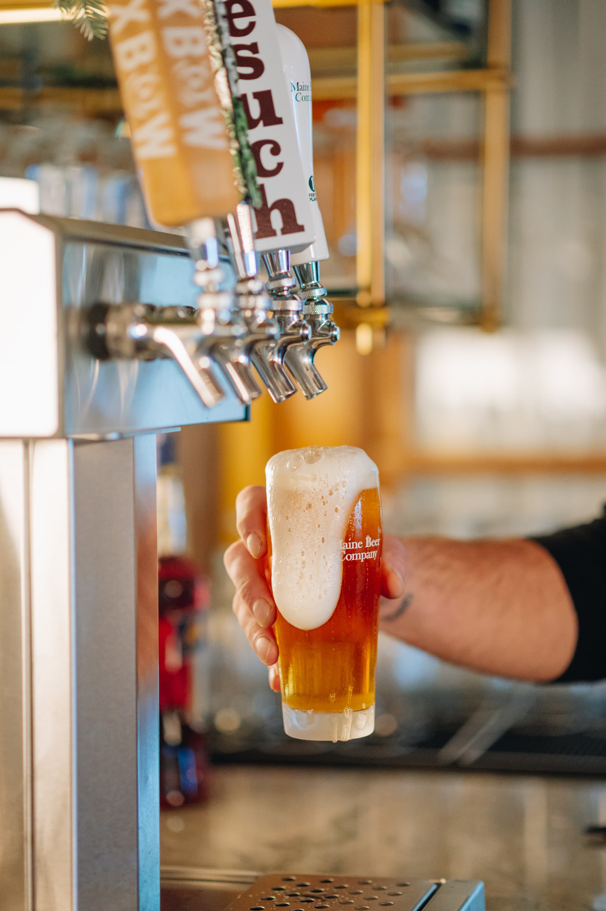 A hand holds a glass of beer with foam, near a row of beer taps.