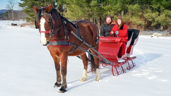 A horse-drawn sleigh with two people bundled in winter attire is parked on a snowy landscape.