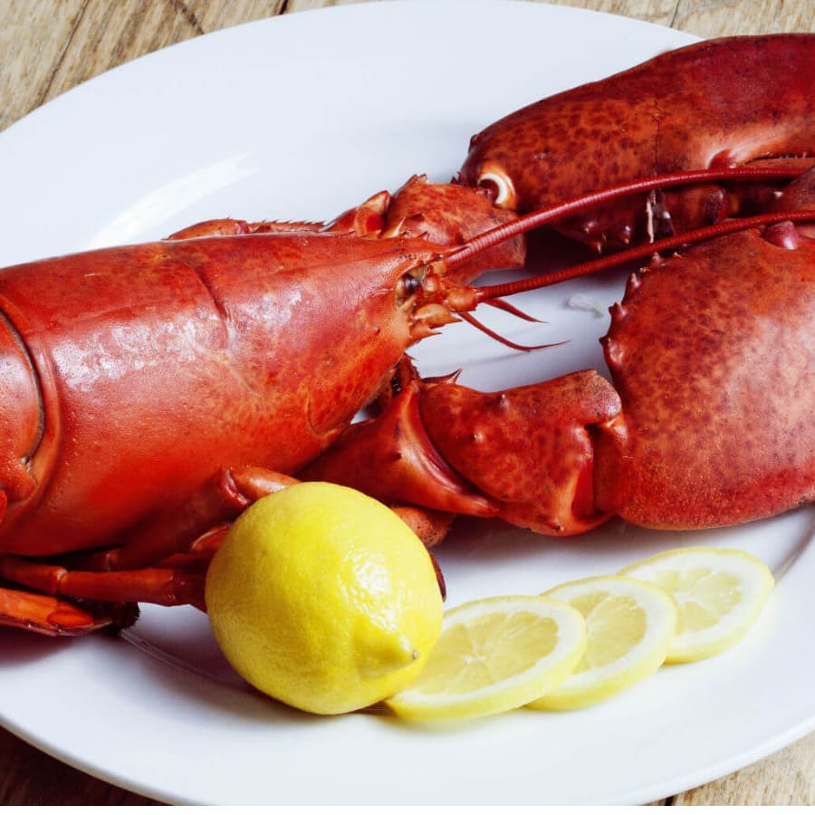 A freshly cooked lobster on a white plate alongside a lemon and lemon slices.