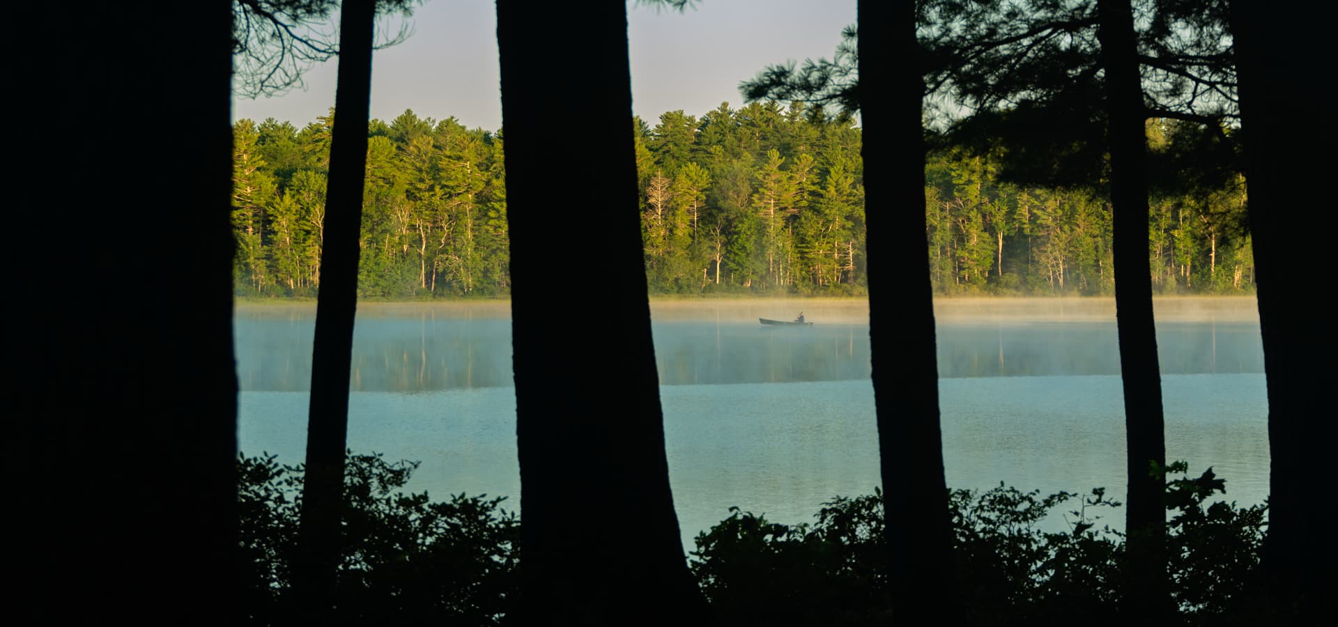 A serene lake scene framed by trees, featuring a lone person in a boat amidst early morning mist.