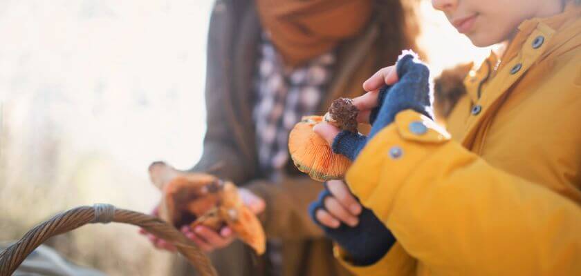 A child examines mushrooms while another person holds a basket.
