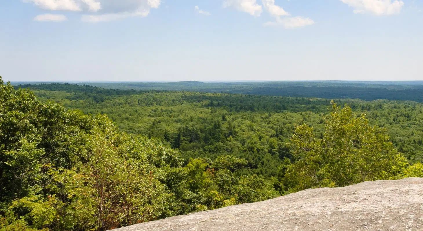 A panoramic view of a lush green landscape under a bright blue sky.