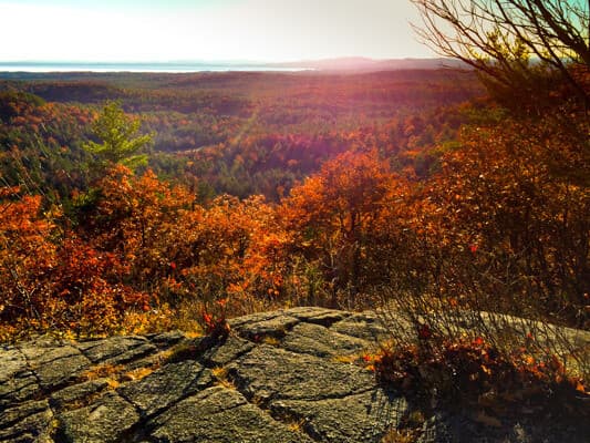 A sweeping view of vibrant autumn foliage with a sunlit landscape in the background.