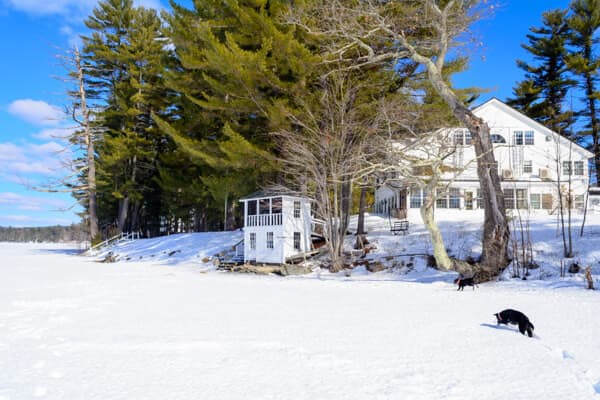 A snowy lakeside scene featuring a white house, a small gazebo, and two dogs.