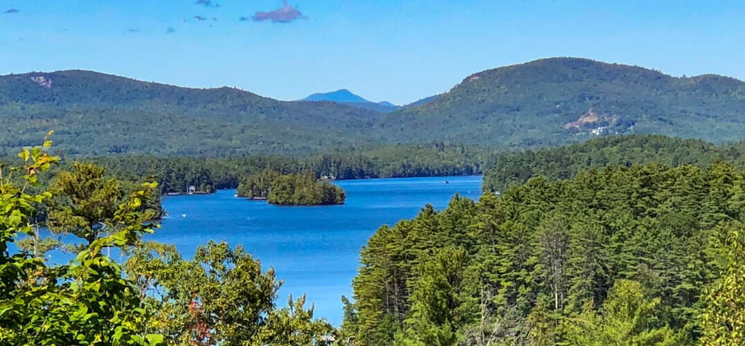 A scenic view of a calm lake surrounded by lush green forests and distant mountains under a clear blue sky.