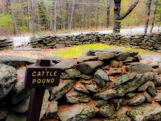 A sign reading "Cattle Pound" in front of a stone enclosure surrounded by trees.