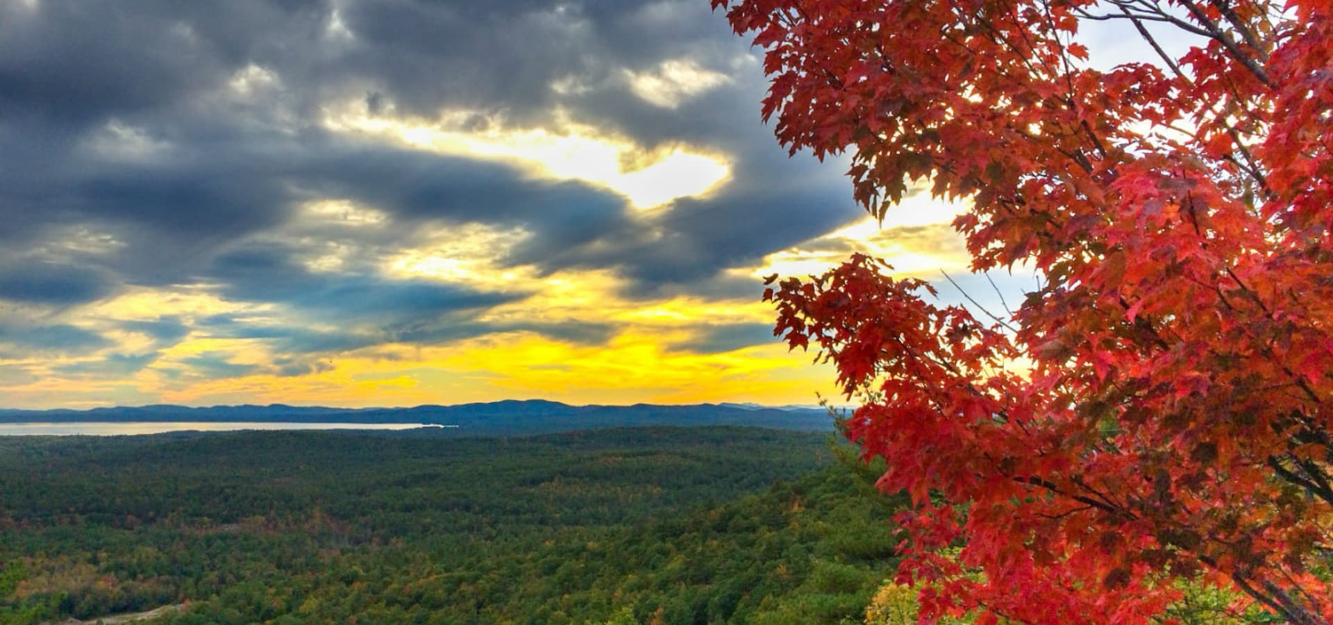 A vibrant sunset illuminates a forested landscape, framed by red autumn leaves.