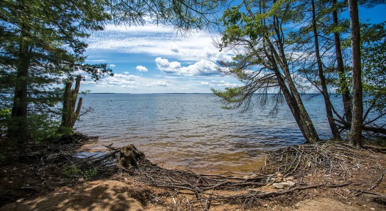 A serene lakeside view framed by trees under a bright blue sky with scattered clouds.