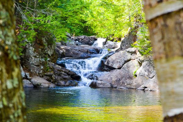 A gentle waterfall cascades over rocks into a calm pool, surrounded by lush greenery.