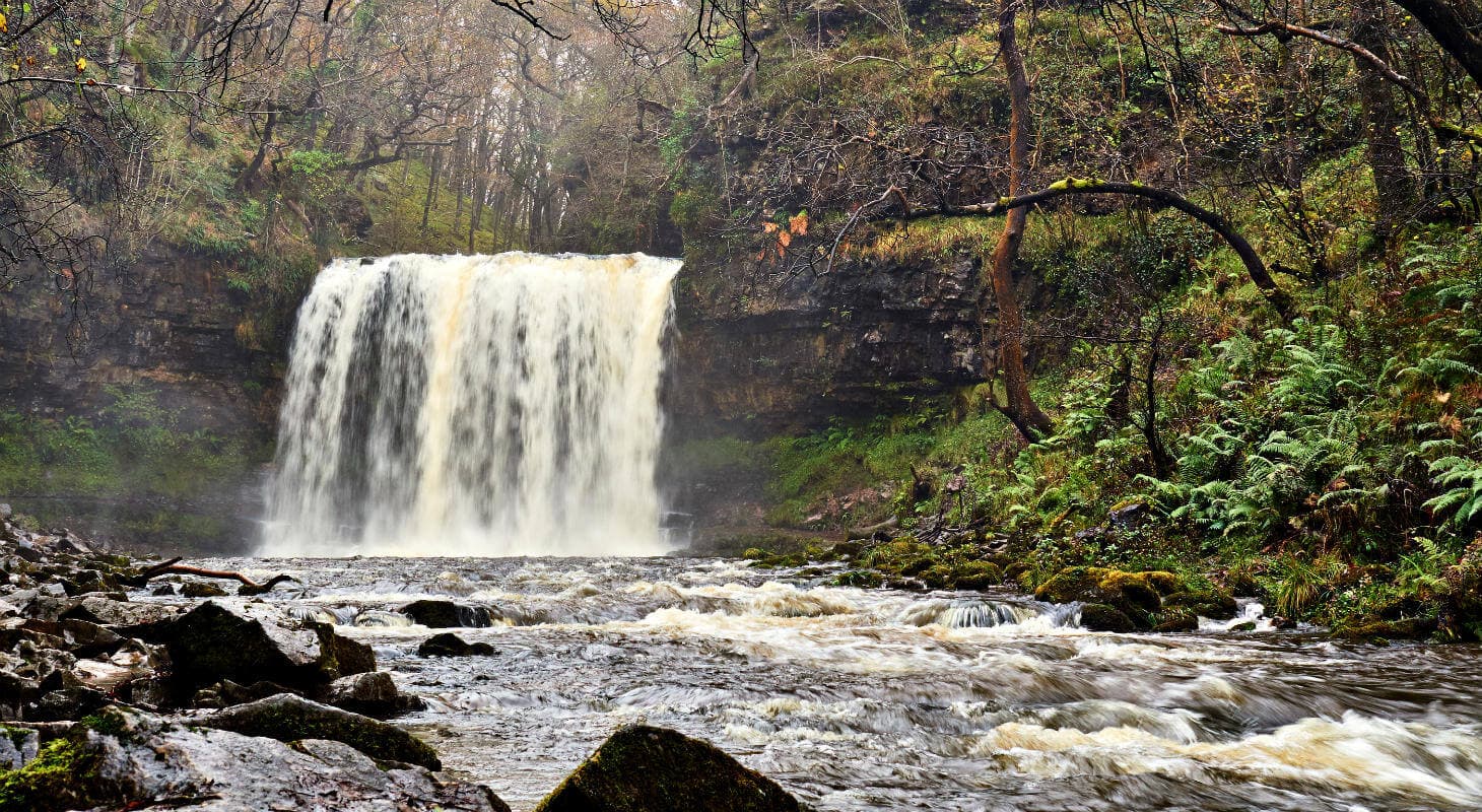 A waterfall cascades into a rocky stream, surrounded by lush greenery and autumn foliage.