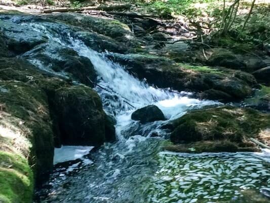 A small waterfall cascading over moss-covered rocks in a lush forest.