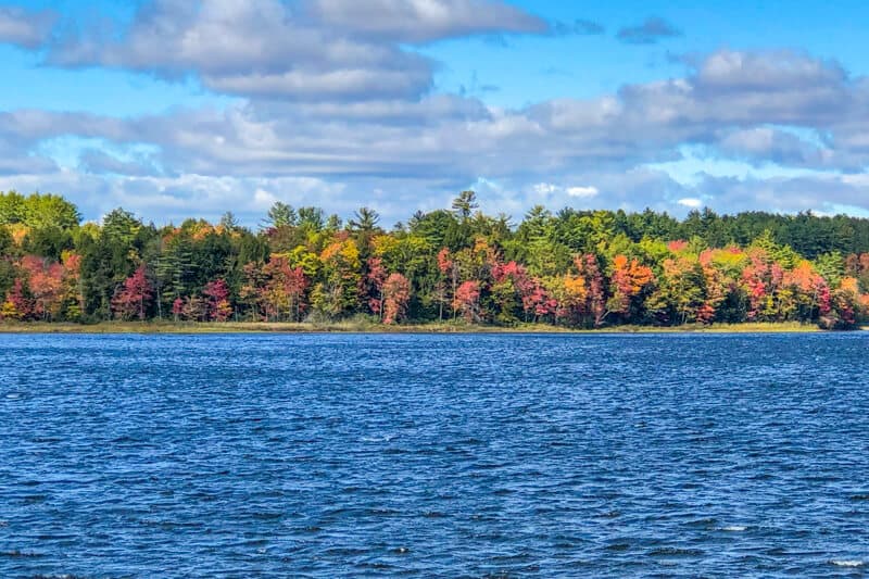 A serene lake bordered by autumn-colored trees under a blue sky with fluffy clouds.