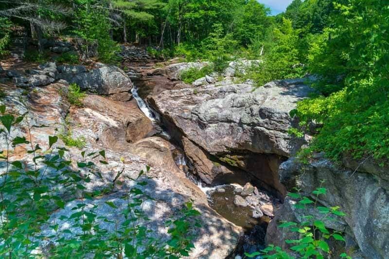 A rocky stream flows through lush greenery in a forested area.