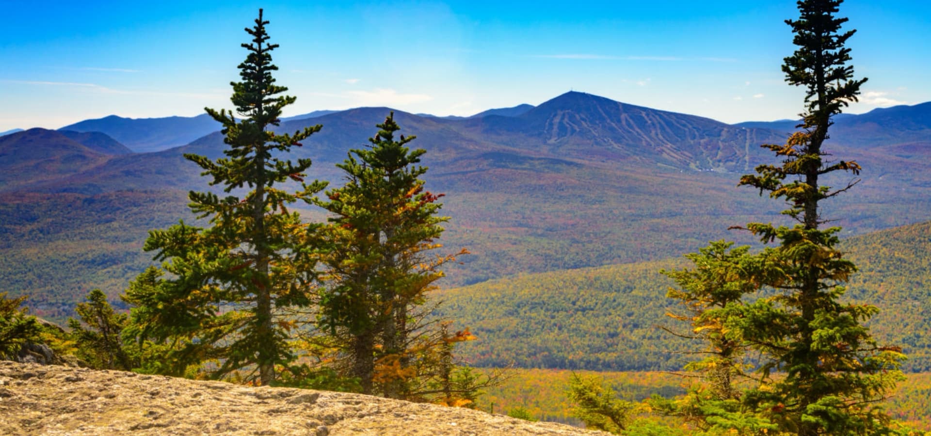 A scenic view of mountains and vibrant trees under a clear blue sky.