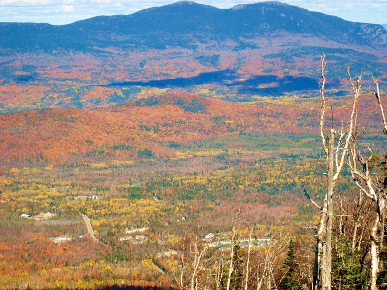 A panoramic view of a vibrant autumn landscape with colorful foliage and distant mountains.