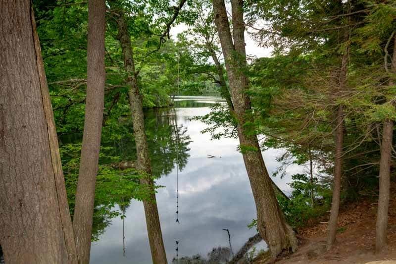 A tranquil scene of a calm, reflective lake framed by lush green trees.