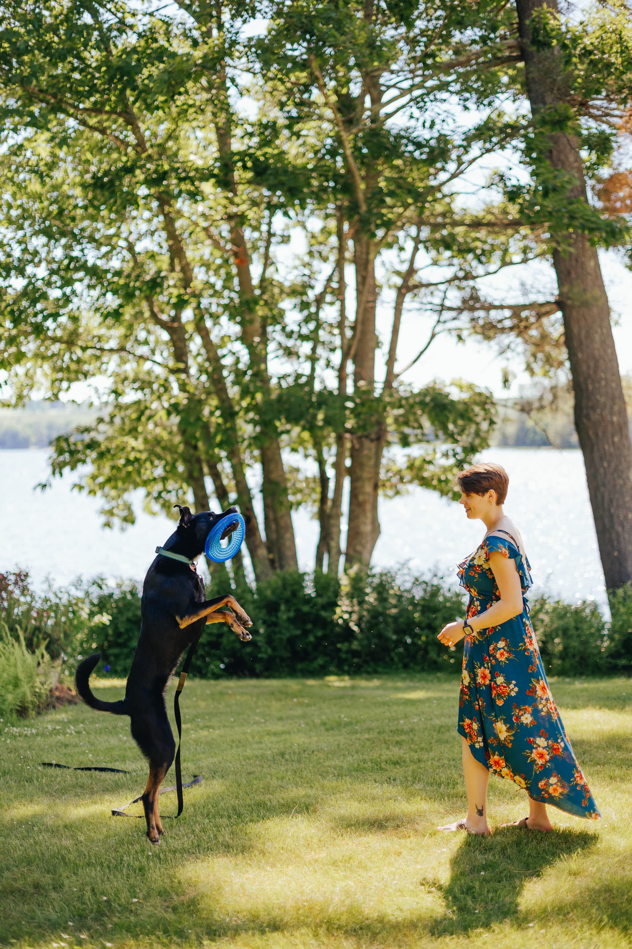 A woman in a floral dress interacts with a jumping dog catching a blue frisbee in a sunny outdoor setting by a lake.
