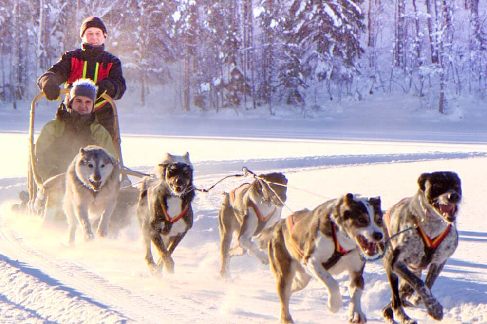A sled team of dogs pulls two people across a snowy landscape.