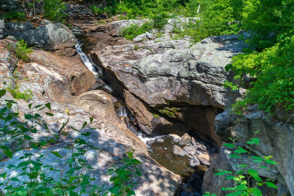 A winding stream flows between rocky formations surrounded by vibrant green foliage.