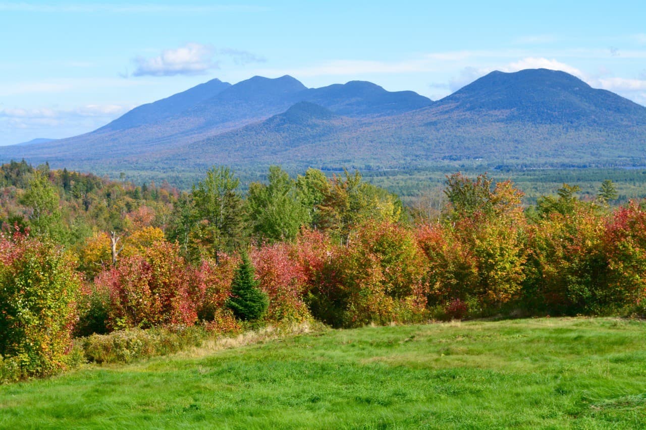 A panoramic view of vibrant autumn foliage in the foreground with distant mountains under a clear blue sky.