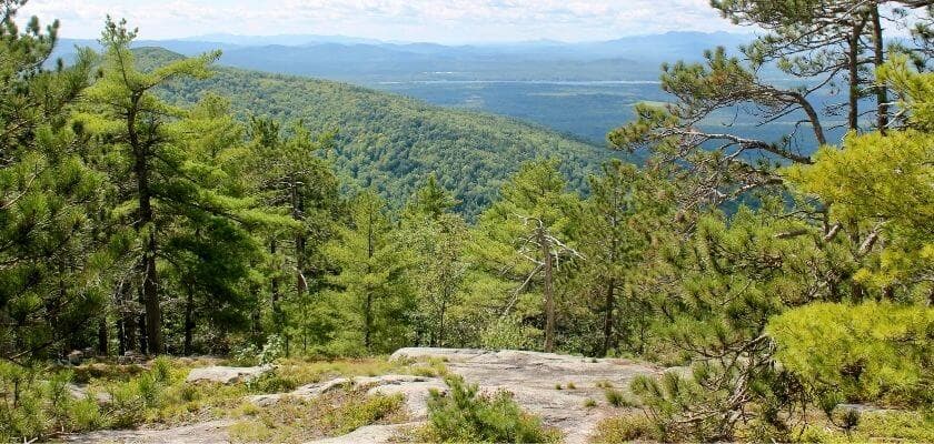 A panoramic view of lush green mountains and forests under a clear blue sky.