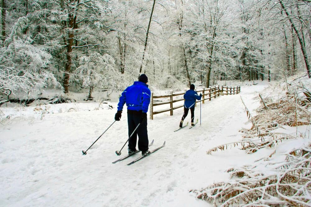 Two people cross-country skiing on a snowy trail surrounded by trees.