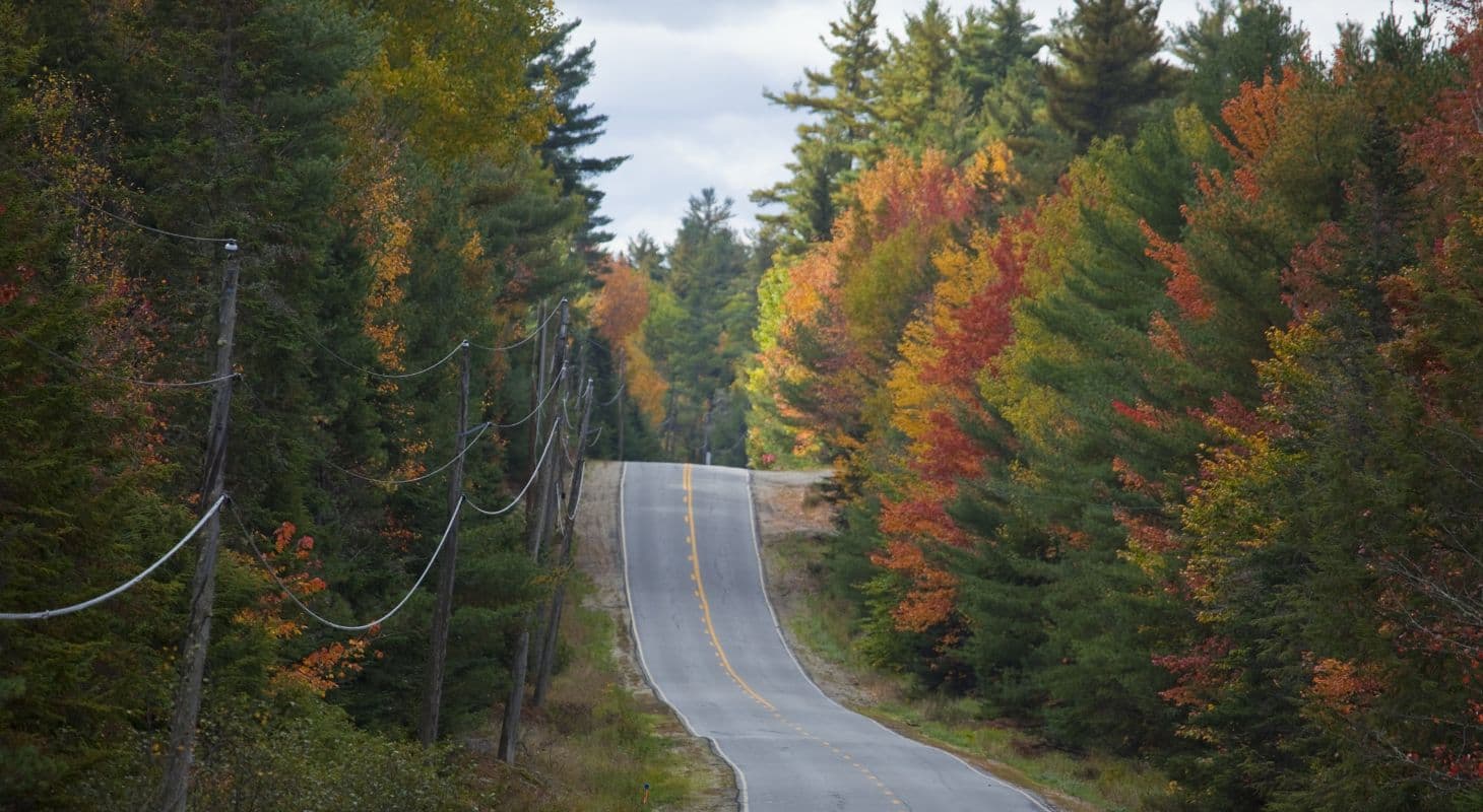 A winding road surrounded by colorful autumn trees.