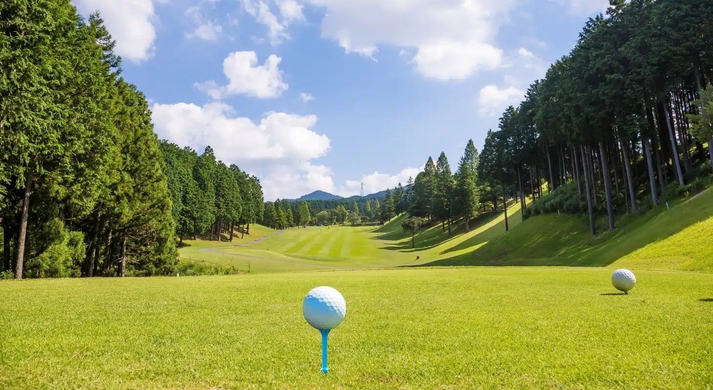 A view of a golf course with two golf balls on a tee, surrounded by lush green trees and a clear blue sky.