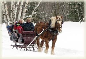 A horse-drawn sleigh carries a family through a snowy landscape.