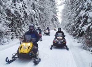 A group of snowmobiles traversing a snowy forest trail.